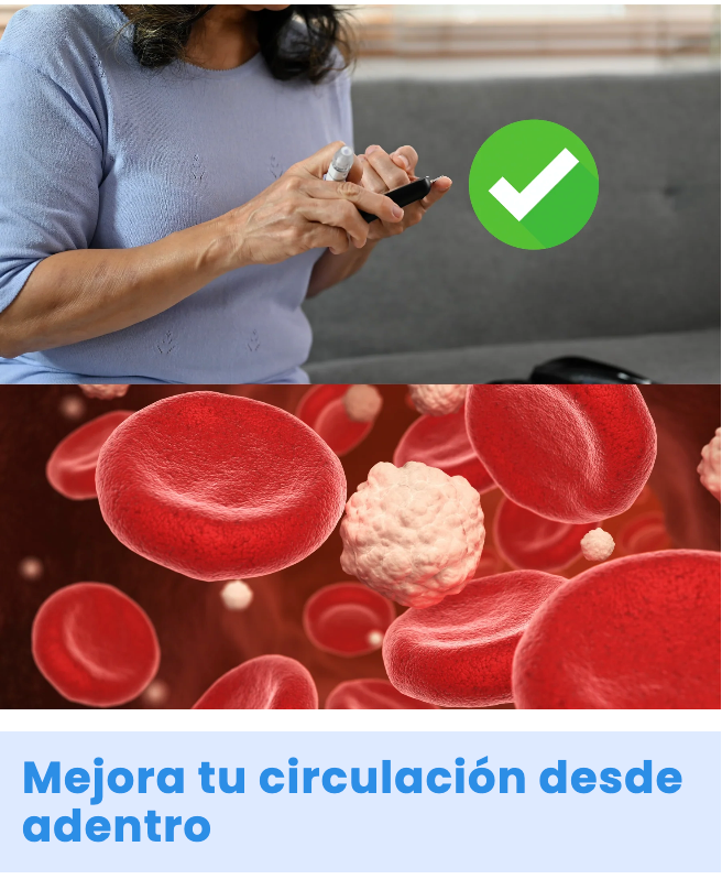 CONTROL CIRCULACIÓN / DR.MON 600g