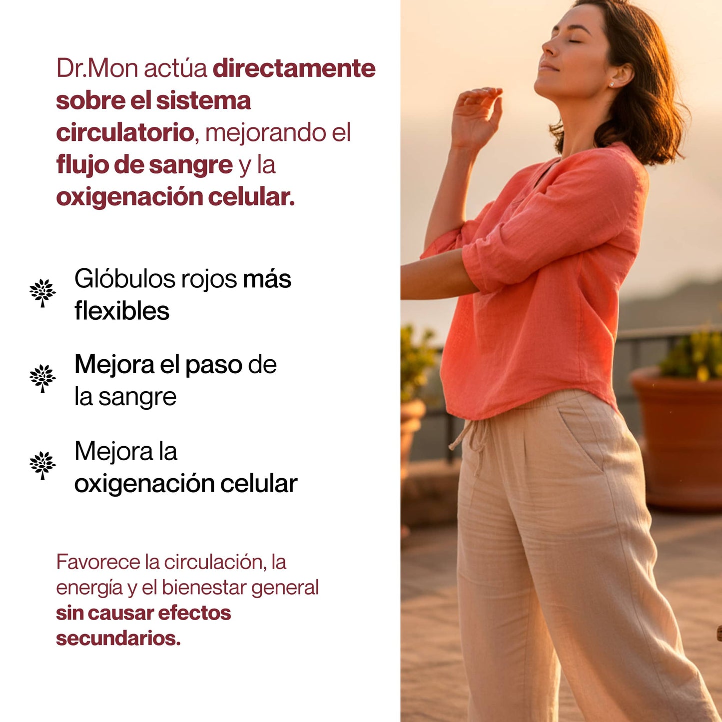 CONTROL CIRCULACIÓN / DR.MON 600g